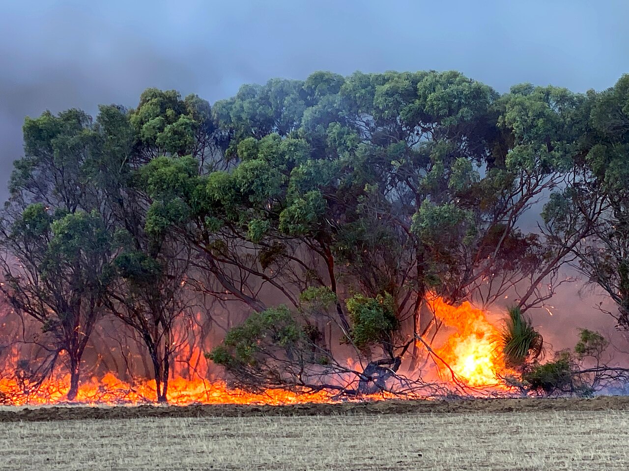 Kangaroo Island in South Australia, as major bushfires devastated the community during the 2019-20 Australian summer bushfire crisis